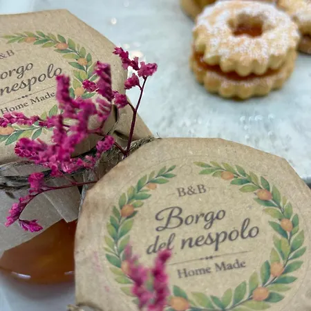 Nocleg ze śniadaniem Borgo Del Nespolo 4*